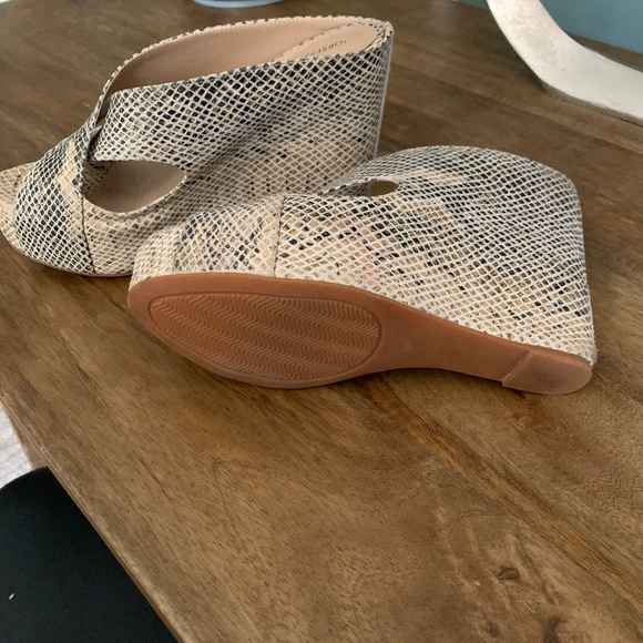 Obsession Rules Size 7.5 Platform Snake skin Print Mule/Clog - Picture 2 of 5
